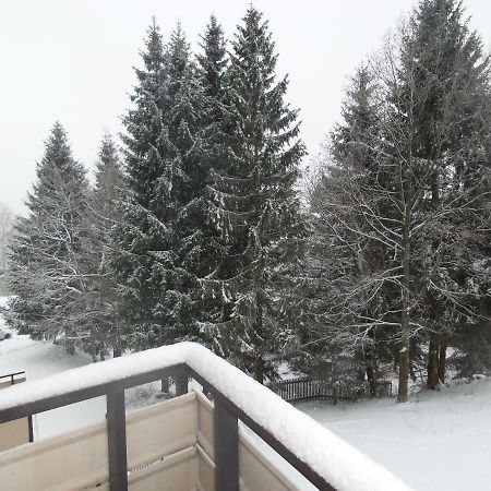 Ferienwohnung Mit Blick In Den Bayrischen Wald Oberhalb Von Sankt Engelmar Sankt Englmar Dış mekan fotoğraf