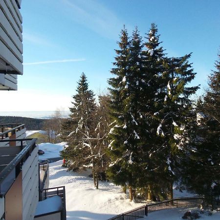 Ferienwohnung Mit Blick In Den Bayrischen Wald Oberhalb Von Sankt Engelmar Sankt Englmar Dış mekan fotoğraf
