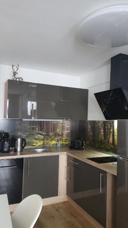 Ferienwohnung Mit Blick In Den Bayrischen Wald Oberhalb Von Sankt Engelmar Sankt Englmar Dış mekan fotoğraf