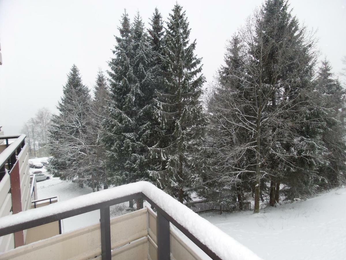 Ferienwohnung Mit Blick In Den Bayrischen Wald Oberhalb Von Sankt Engelmar Sankt Englmar Dış mekan fotoğraf