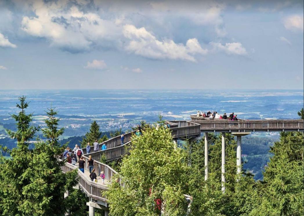 Ferienwohnung Mit Blick In Den Bayrischen Wald Oberhalb Von Sankt Engelmar Sankt Englmar Dış mekan fotoğraf