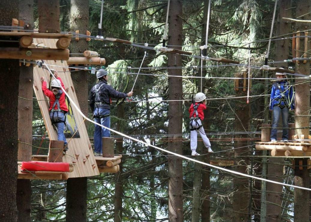 Ferienwohnung Mit Blick In Den Bayrischen Wald Oberhalb Von Sankt Engelmar Sankt Englmar Dış mekan fotoğraf